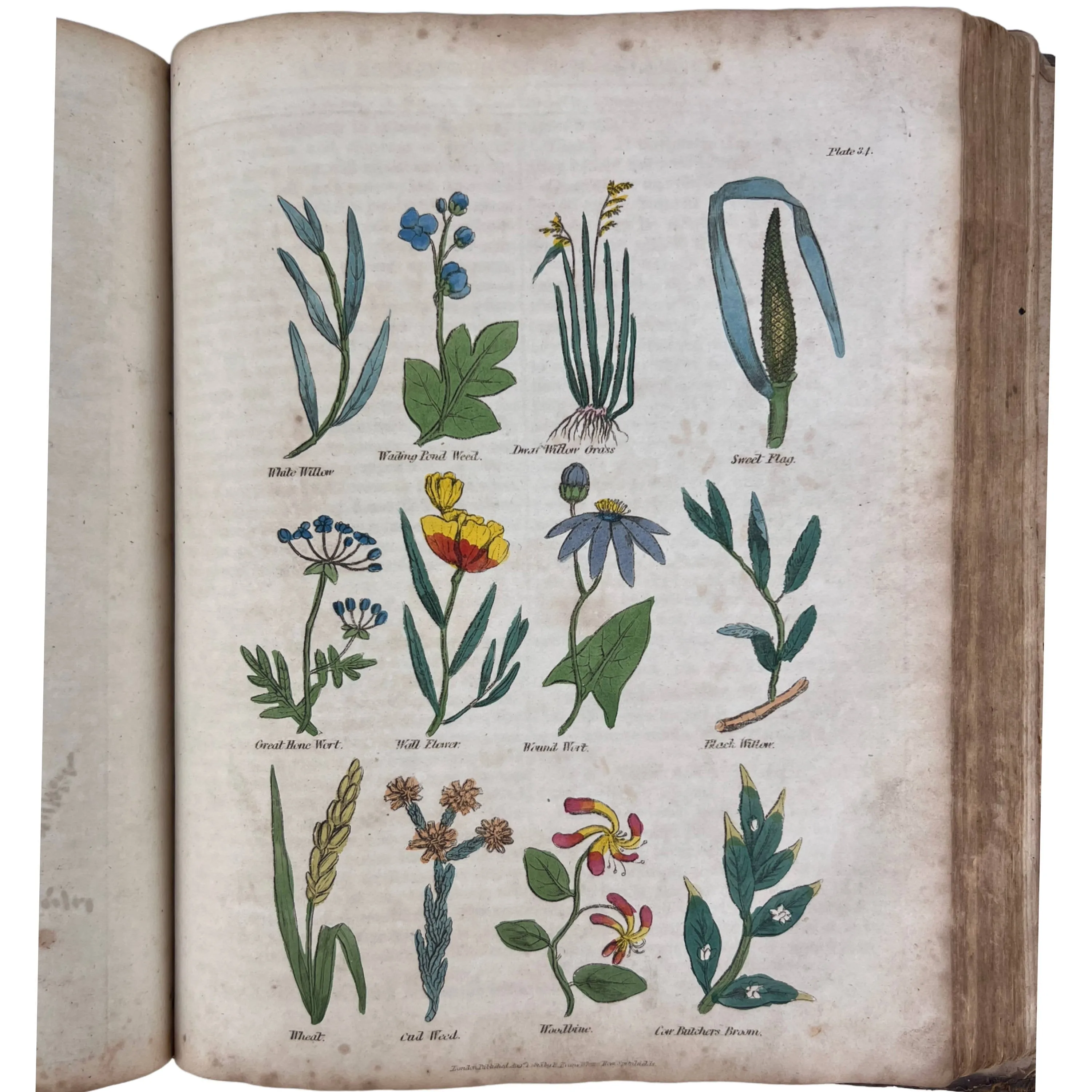 Antique 1816 Edition Culpepers Complete Herbal Book Richard Evans London