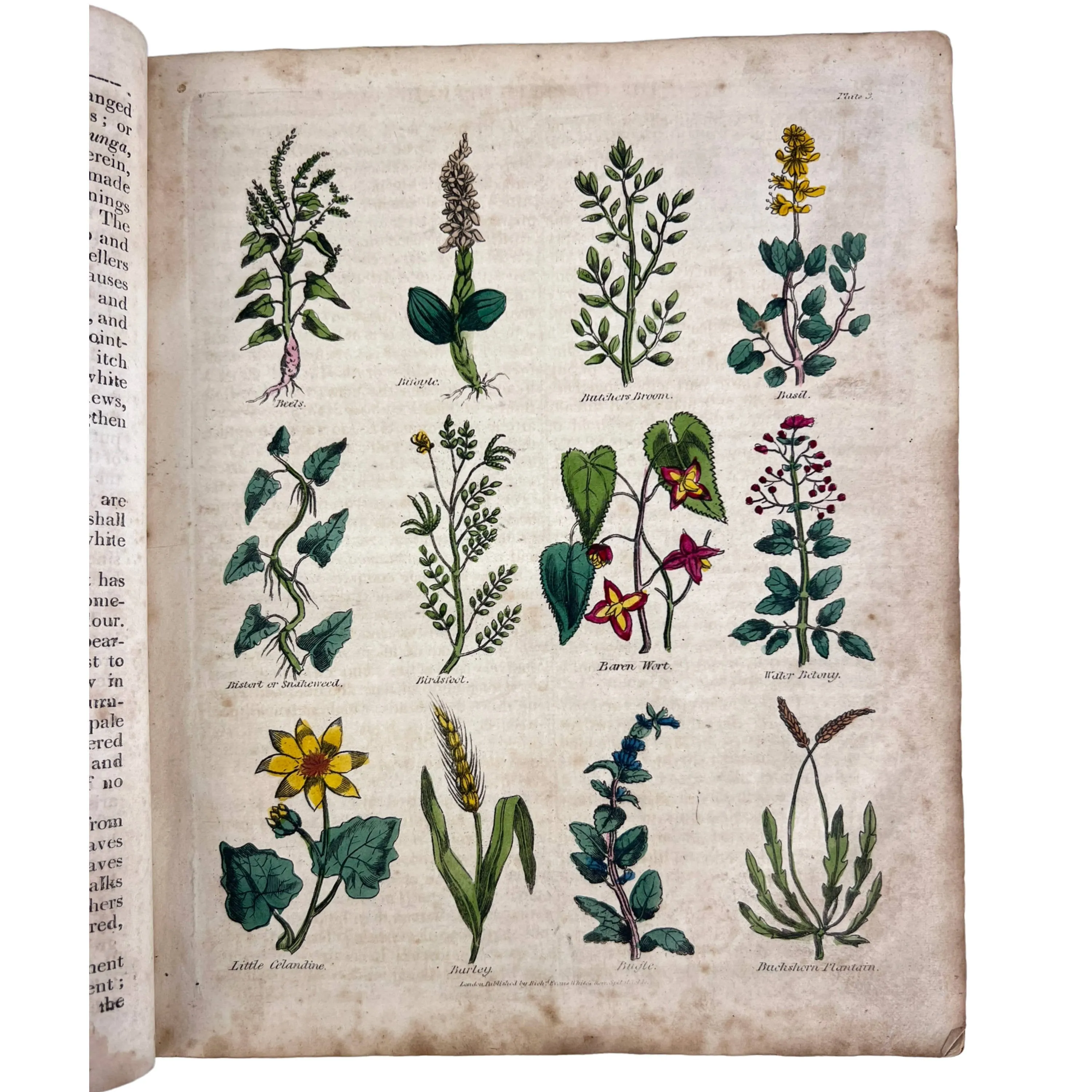Antique 1816 Edition Culpepers Complete Herbal Book Richard Evans London