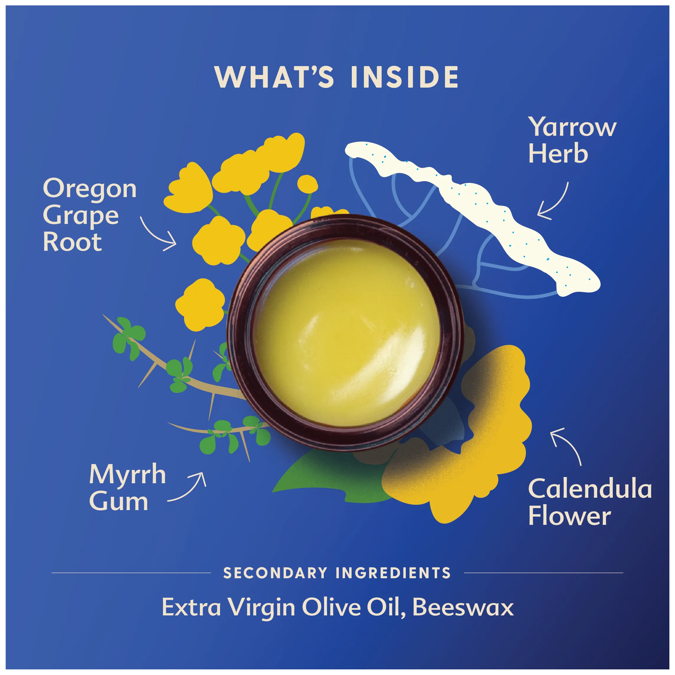 Diaper Balm 1 oz by Motherlove