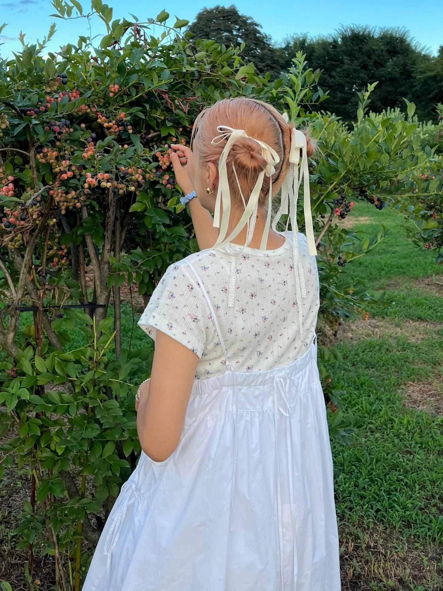 Medium Hair Ribbon
