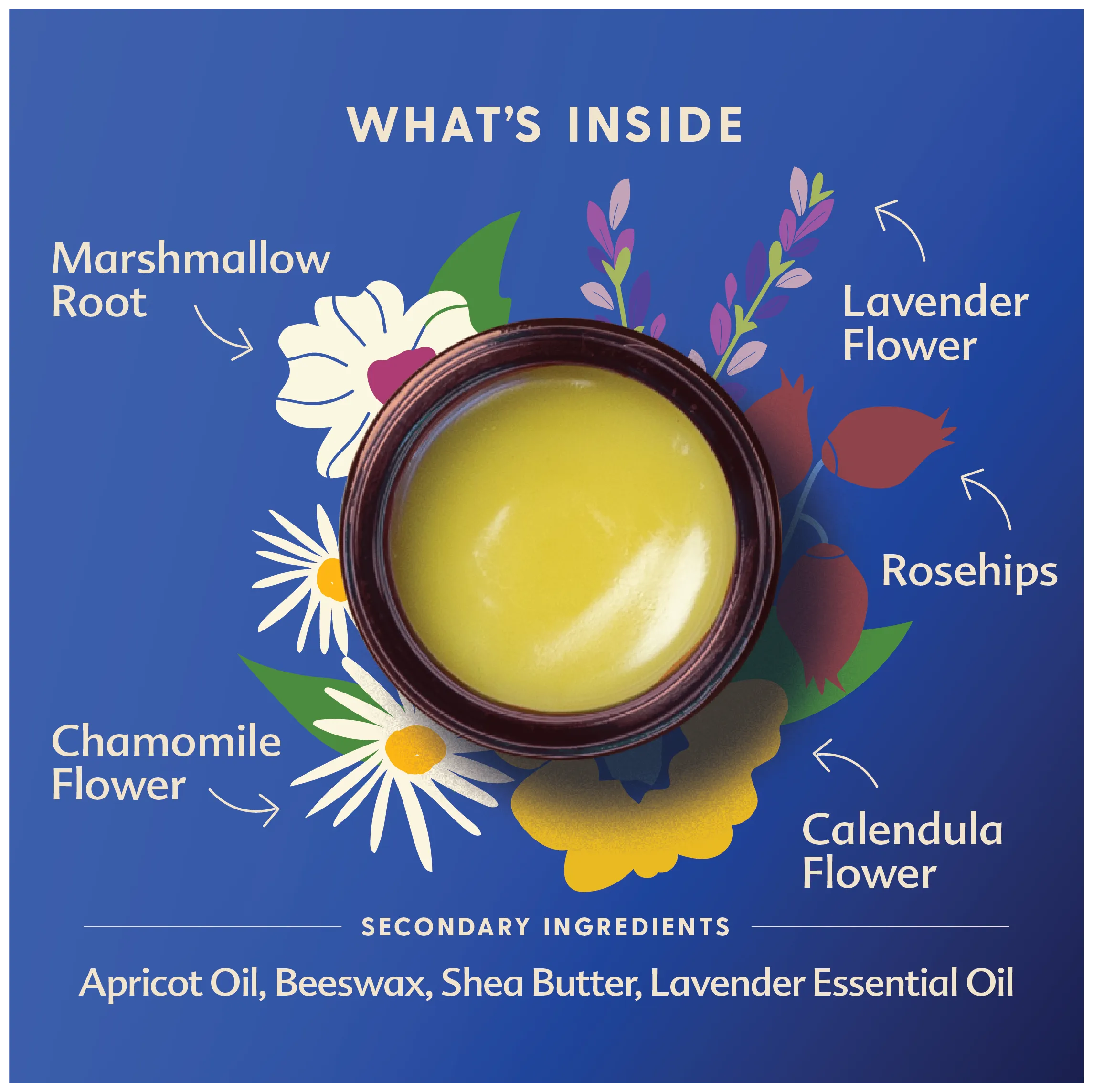 Pregnant Belly Salve 4 oz by Motherlove